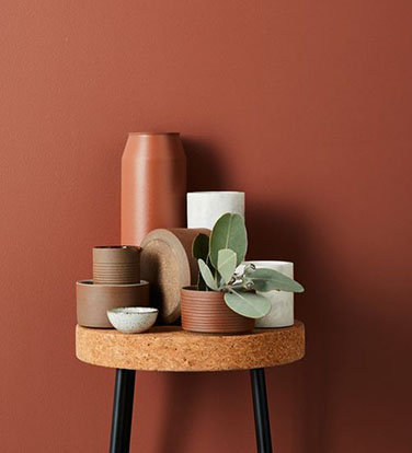 在这里你将获得